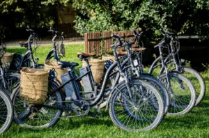 Group of electric bike with different sizes