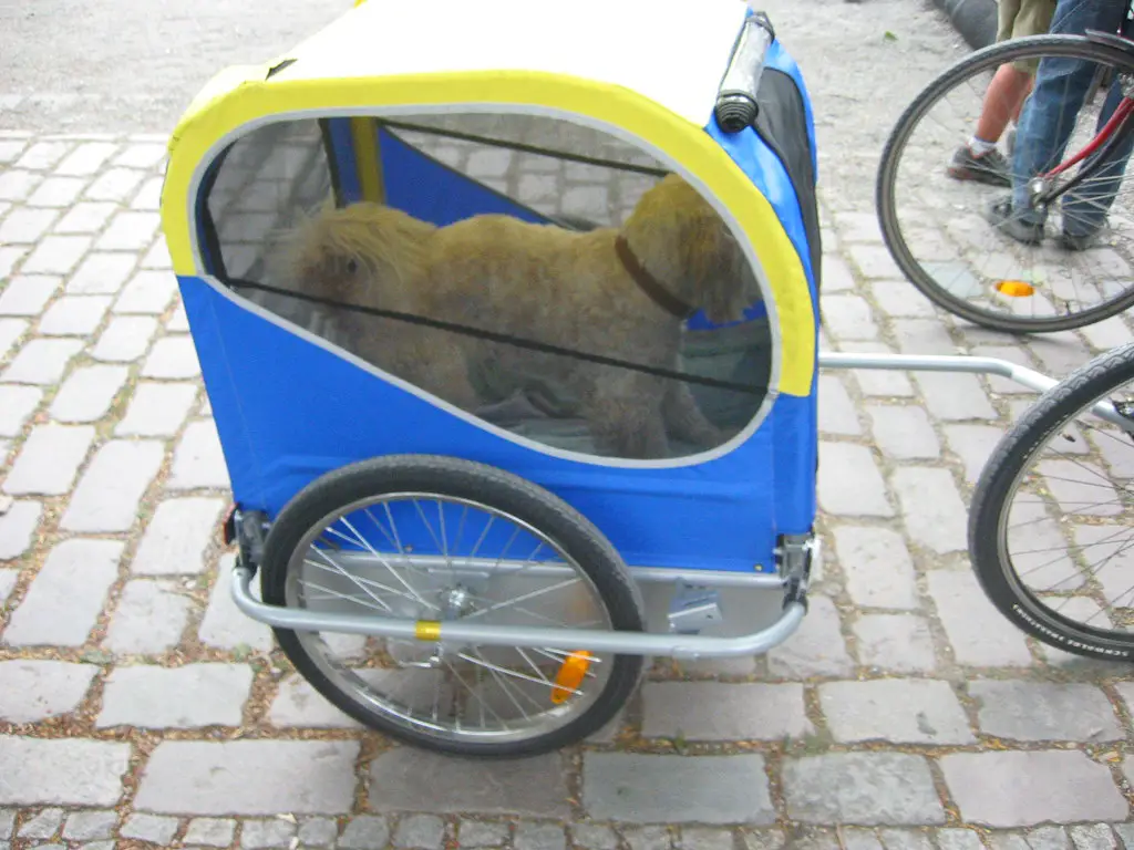 Bike Pet Trailer